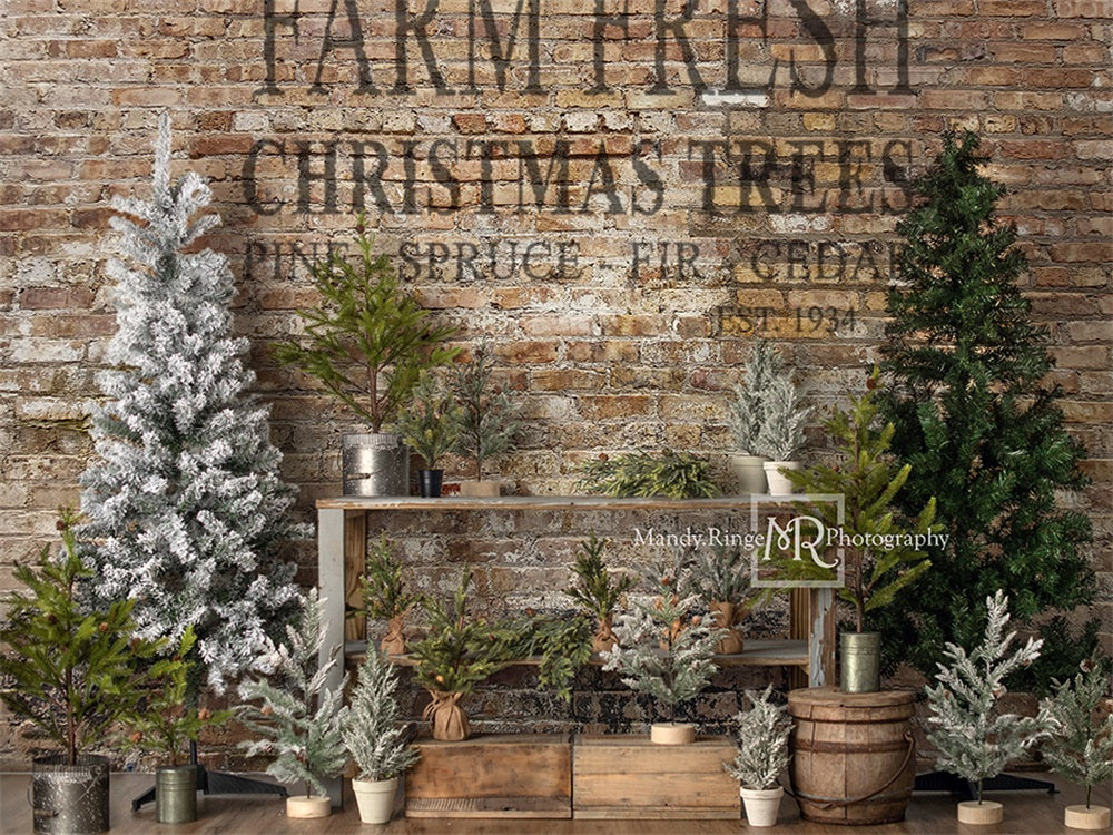 Kate Farm Fresh Backdrop Tree Stand Christmas Designed by Mandy Ringe Photography - Kate Backdrop AU