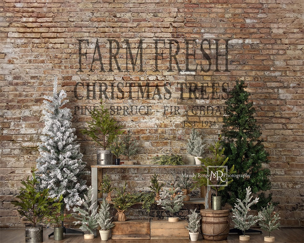 Kate Farm Fresh Backdrop Tree Stand Christmas Designed by Mandy Ringe Photography - Kate Backdrop AU