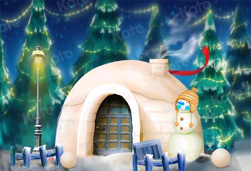 Kate Christmas Winter Backdrop Snow House Snowman for Photography - Kate Backdrop AU