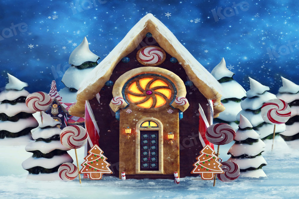 Kate Christmas Winter Backdrop Candy Gingerbread Snow for Photography - Kate Backdrop AU