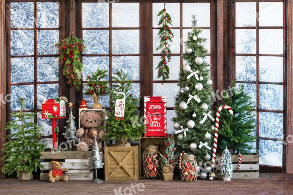 Kate Christmas Backdrop Window Snow Gift Designed by Emetselch - Kate Backdrop AU