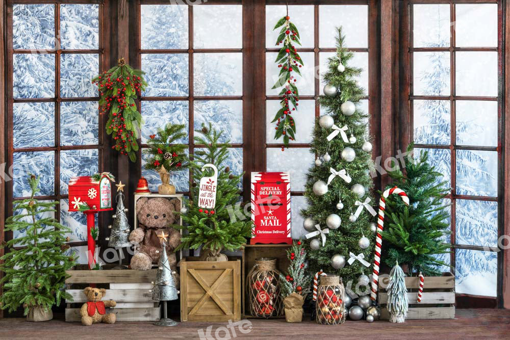 Kate Christmas Backdrop Window Snow Gift Designed by Emetselch - Kate Backdrop AU