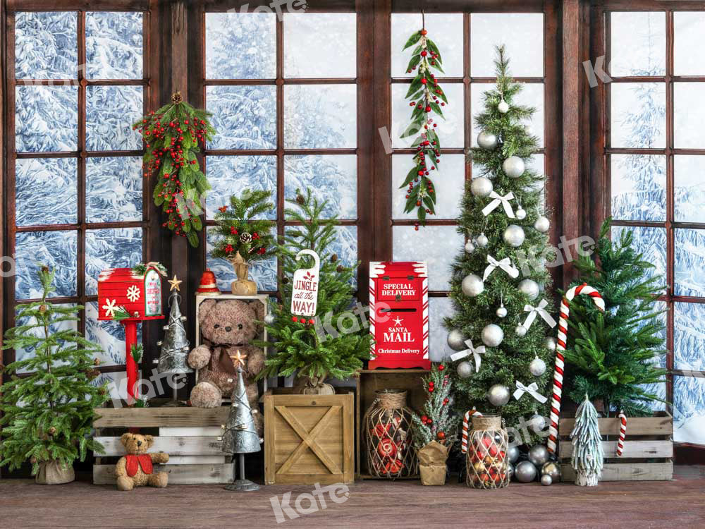 Kate Christmas Backdrop Window Snow Gift Designed by Emetselch - Kate Backdrop AU