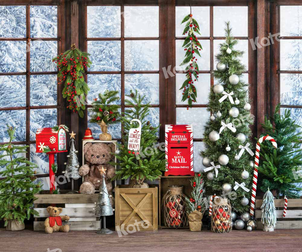 Kate Christmas Backdrop Window Snow Gift Designed by Emetselch - Kate Backdrop AU