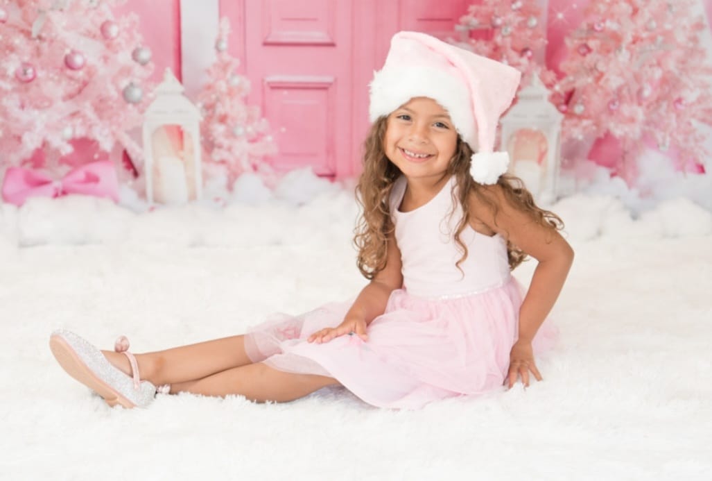 Kate Christmas Backdrop Princess Pink Designed by Emetselch - Kate Backdrop AU