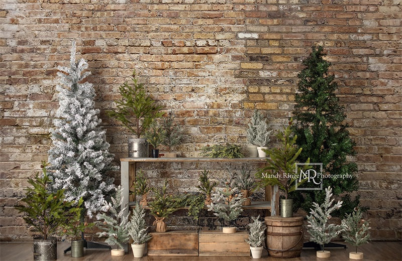 Kate Farm Fresh Backdrop Tree Stand Simple Brick Wall Designed by Mandy Ringe Photography - Kate Backdrop AU