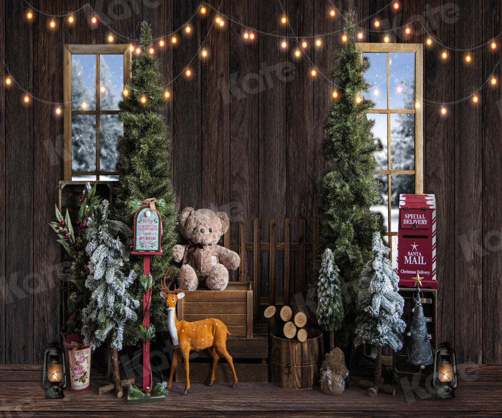 Kate Christmas Wood Backdrop Window Indoor Snow for Photography - Kate Backdrop AU