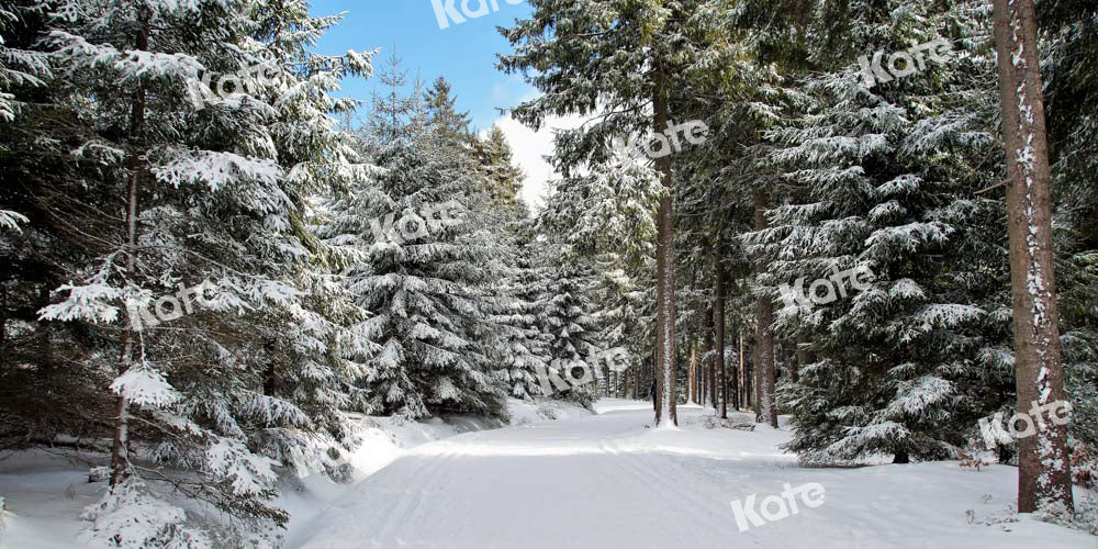 Kate Christmas Woods Backdrop Winter Snow Scene Nature Designed by Chain Photography - Kate Backdrop AU