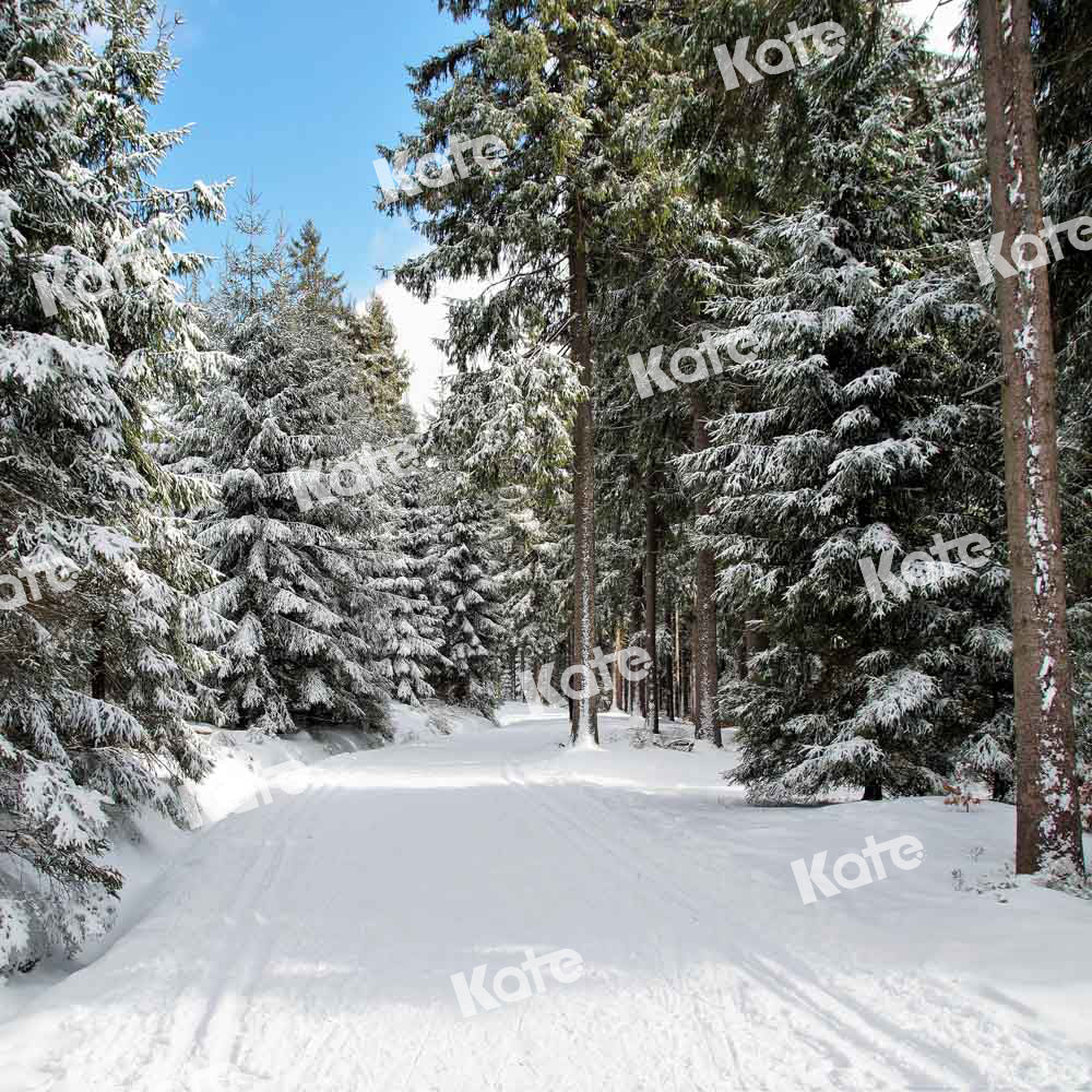 Kate Christmas Woods Backdrop Winter Snow Scene Nature Designed by Chain Photography - Kate Backdrop AU