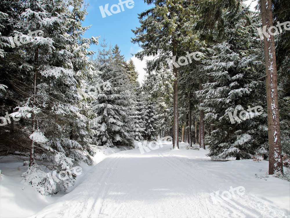 Kate Christmas Woods Backdrop Winter Snow Scene Nature Designed by Chain Photography - Kate Backdrop AU