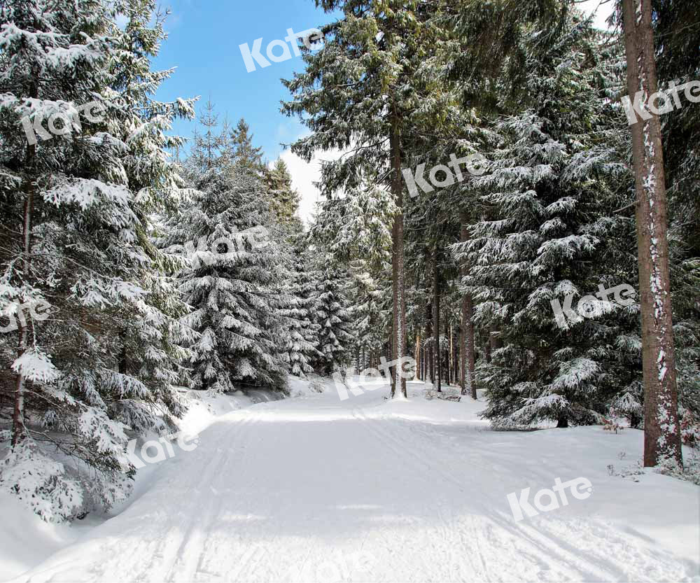 Kate Christmas Woods Backdrop Winter Snow Scene Nature Designed by Chain Photography - Kate Backdrop AU