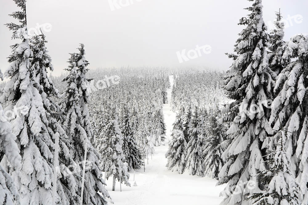 Kate Christmas Forest Backdrop Snow Scene Designed by Chain Photography - Kate Backdrop AU