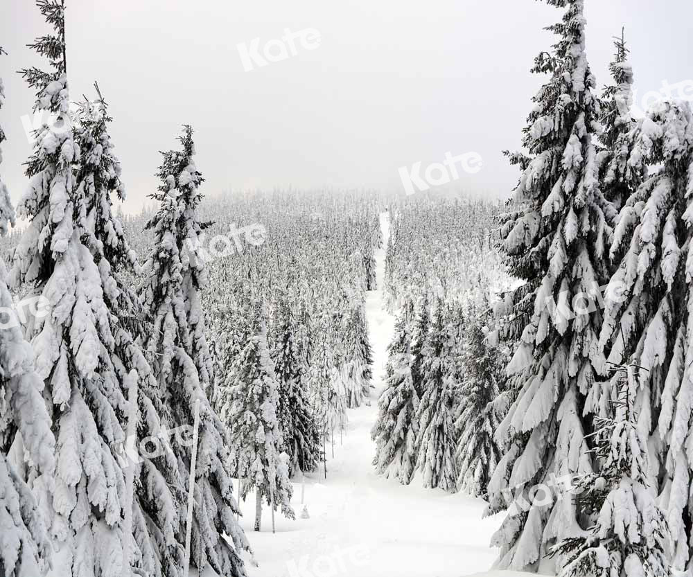 Kate Christmas Forest Backdrop Snow Scene Designed by Chain Photography - Kate Backdrop AU