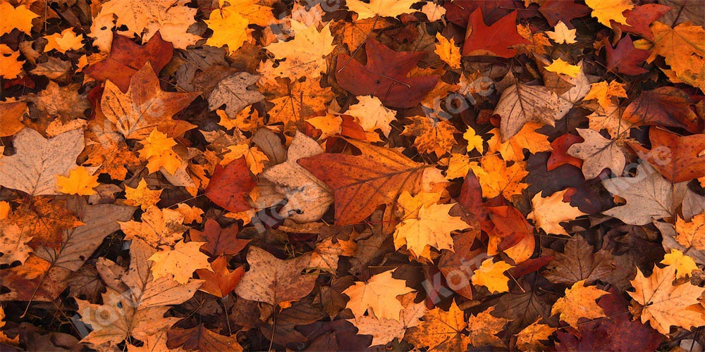 Kate Autumn Leaves Backdrop Abstract Retro Designed by Chain Photography - Kate Backdrop AU