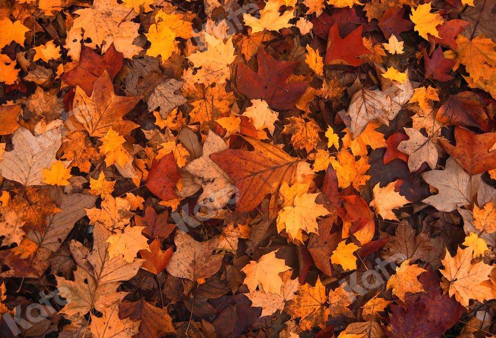 Kate Autumn Leaves Backdrop Abstract Retro Designed by Chain Photography - Kate Backdrop AU