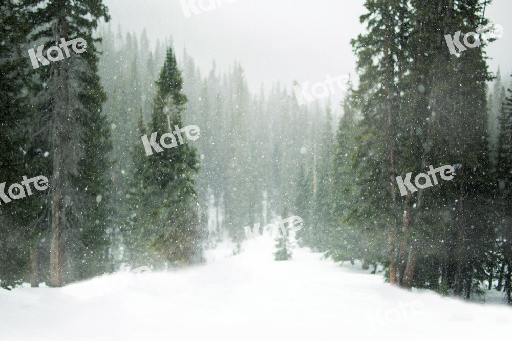 Kate Christmas Snow Forest Backdrop Designed by Kate Image - Kate Backdrop AU