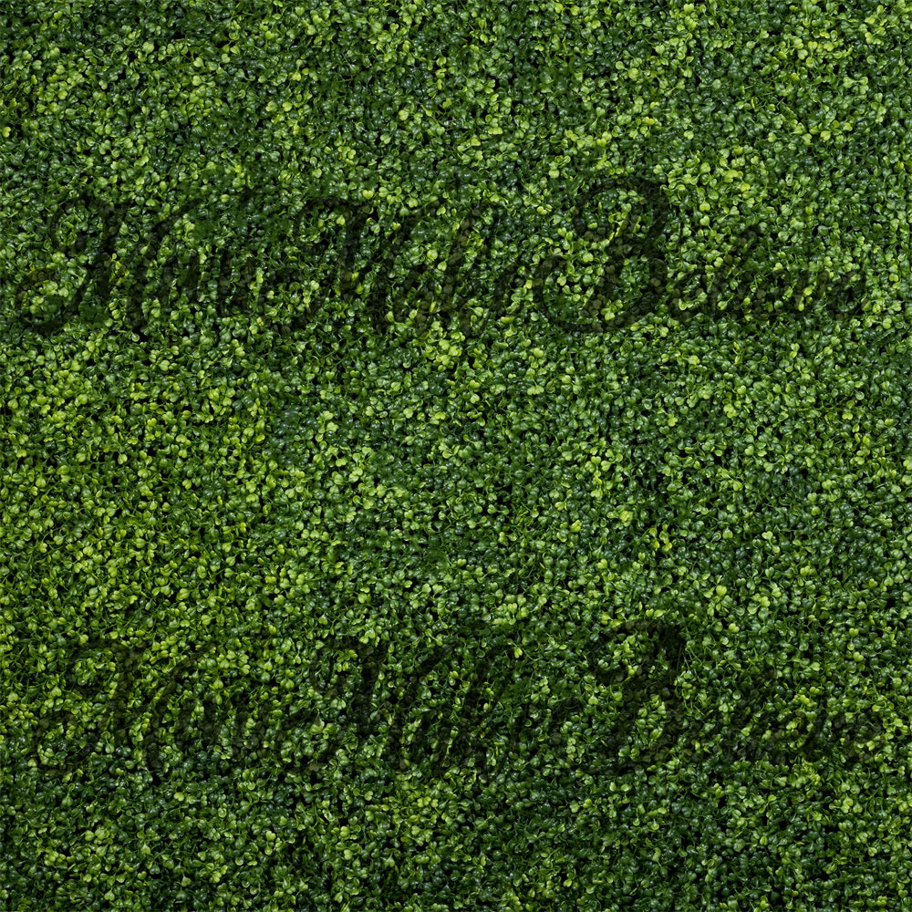 Kate Boxwood Stock Overlay Backdrop Designed by Mini MakeBelieve - Kate Backdrop AU