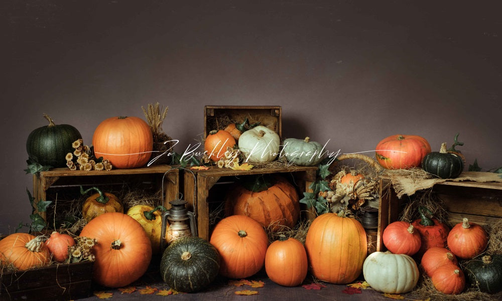 Kate Pumpkin Patch Backdrop Autumn Designed by Jo Buckley Photography - Kate Backdrop AU