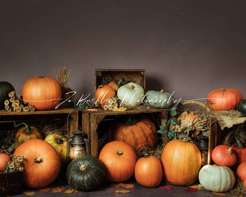 Kate Pumpkin Patch Backdrop Autumn Designed by Jo Buckley Photography - Kate Backdrop AU