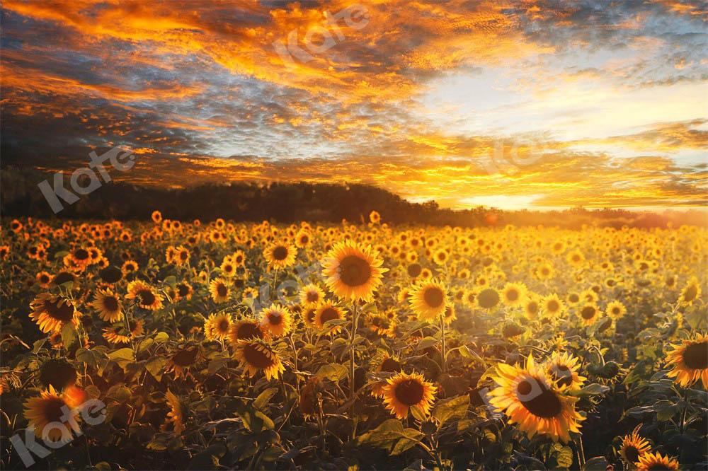 Kate Sunflower Backdrop Autumn Outdoor Designed by Chain Photography - Kate Backdrop AU
