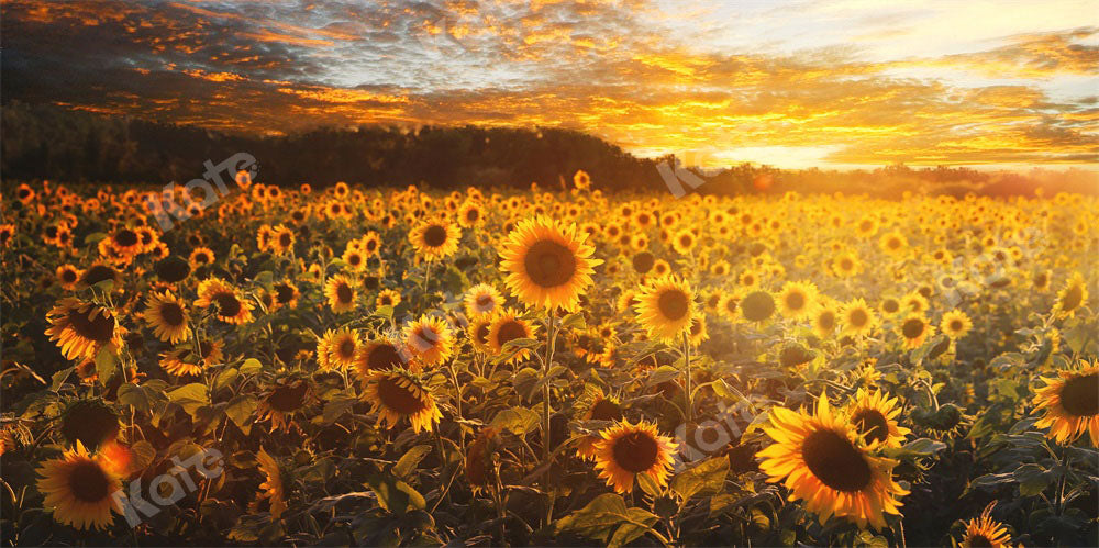 Kate Sunflower Backdrop Autumn Outdoor Designed by Chain Photography - Kate Backdrop AU
