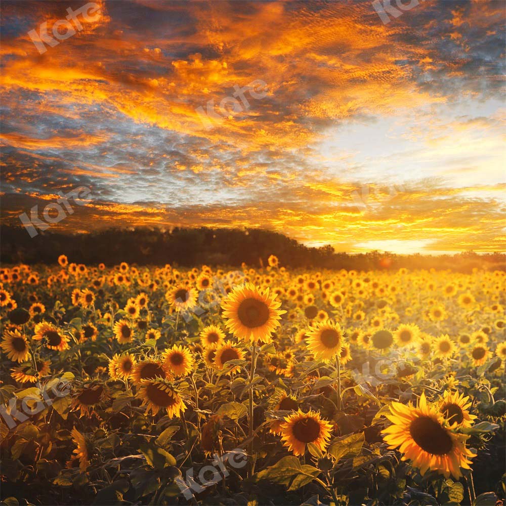 Kate Sunflower Backdrop Autumn Outdoor Designed by Chain Photography - Kate Backdrop AU