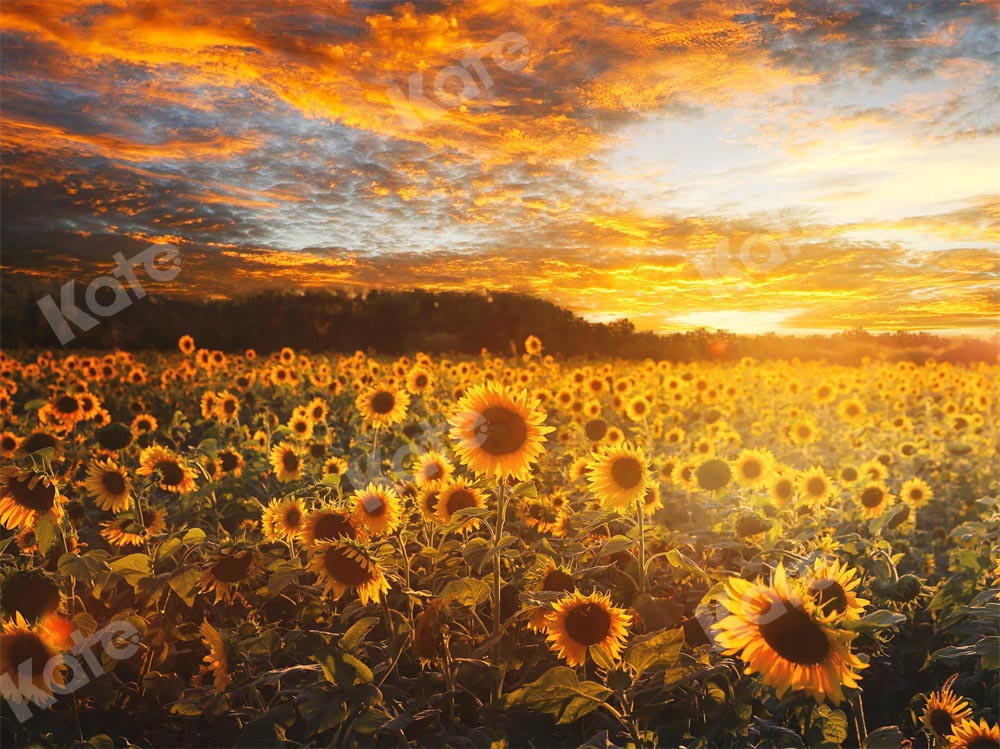 Kate Sunflower Backdrop Autumn Outdoor Designed by Chain Photography - Kate Backdrop AU