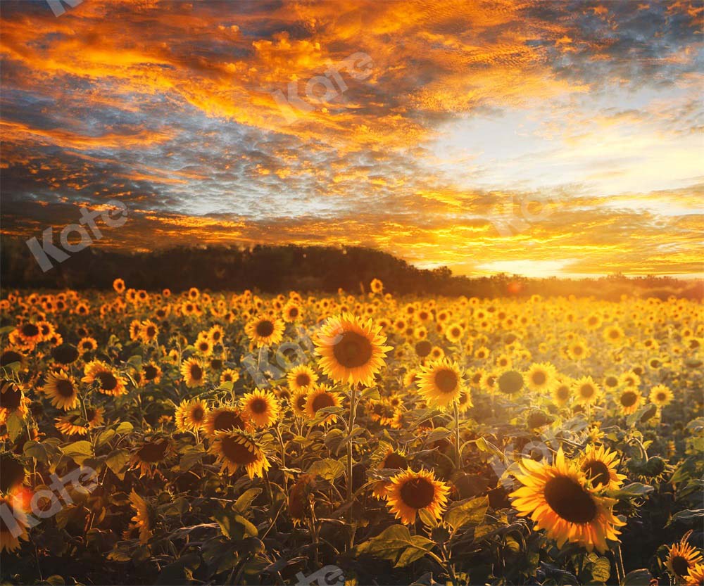 Kate Sunflower Backdrop Autumn Outdoor Designed by Chain Photography - Kate Backdrop AU