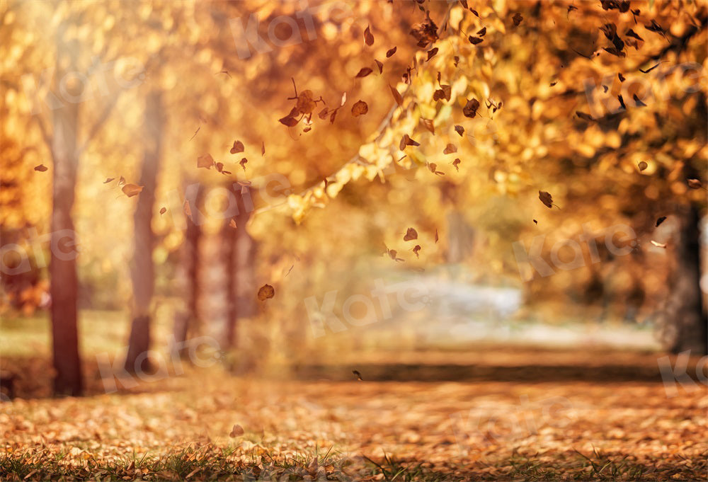 Kate Autumn Nature Scenery Backdrop Bokeh Fallen Leaves for Photography - Kate Backdrop AU
