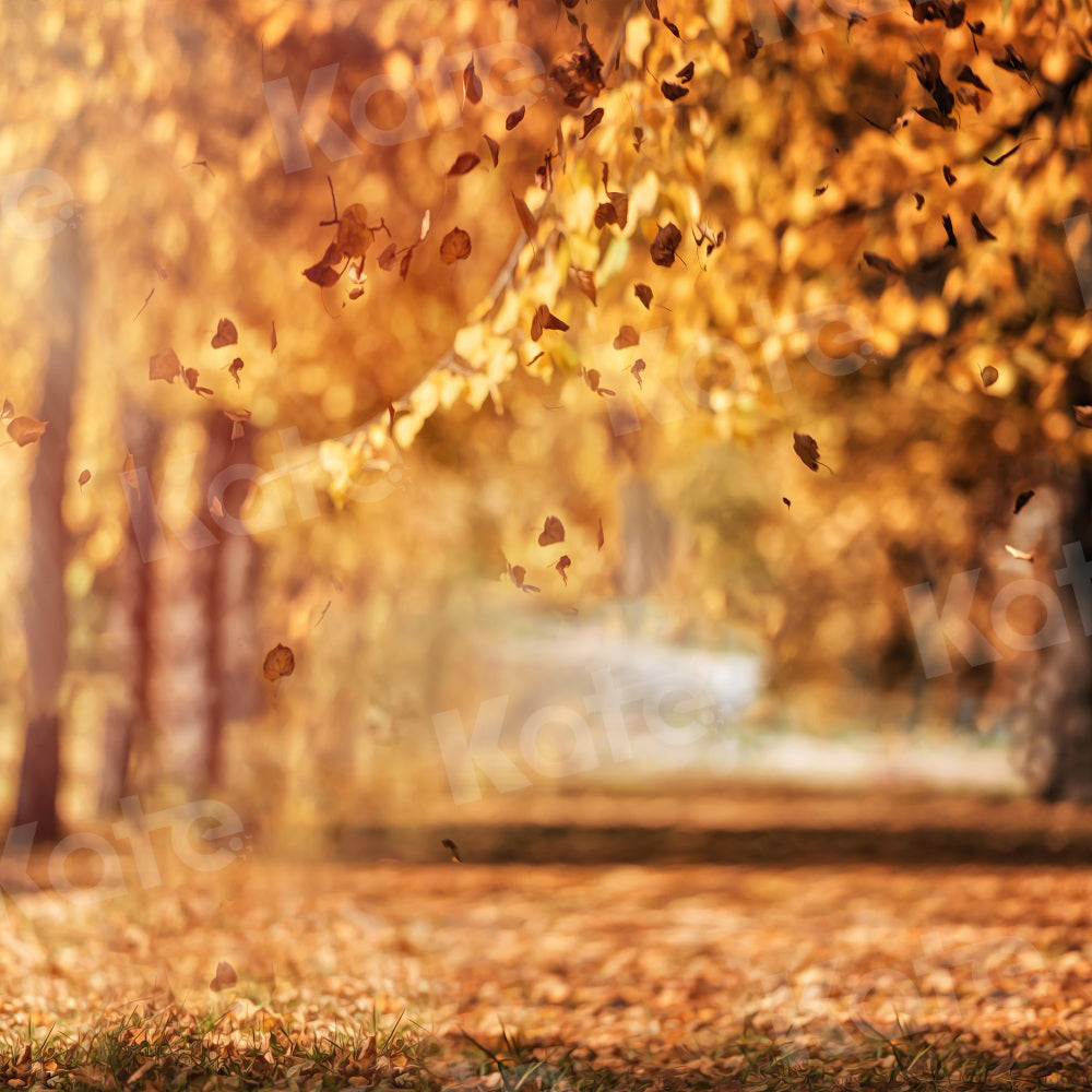 Kate Autumn Nature Scenery Backdrop Bokeh Fallen Leaves for Photography - Kate Backdrop AU