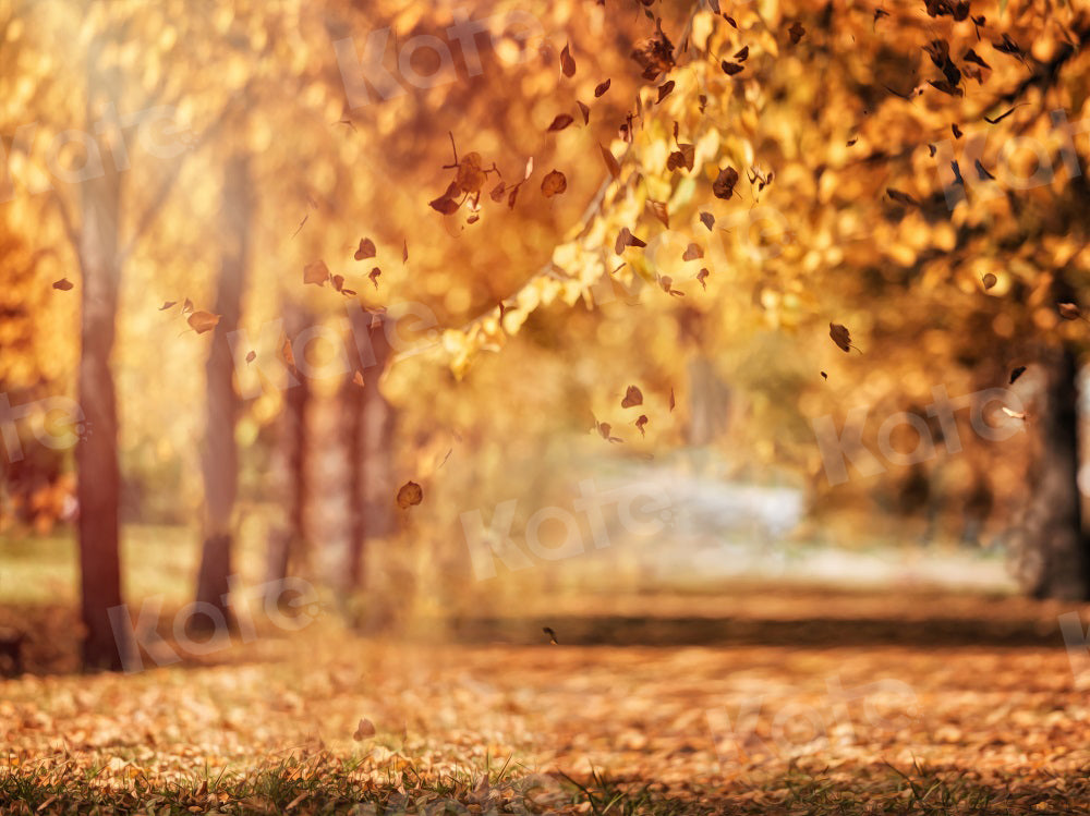 Kate Autumn Nature Scenery Backdrop Bokeh Fallen Leaves for Photography - Kate Backdrop AU