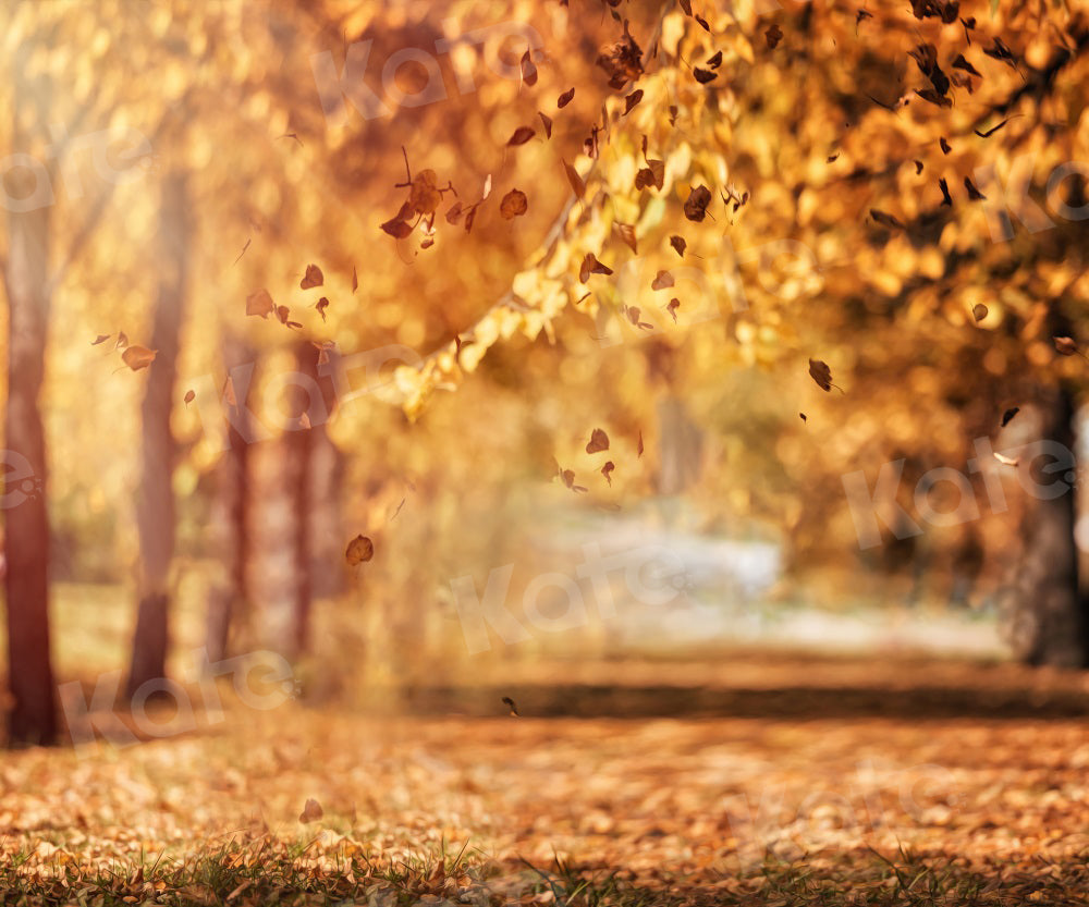 Kate Autumn Nature Scenery Backdrop Bokeh Fallen Leaves for Photography - Kate Backdrop AU
