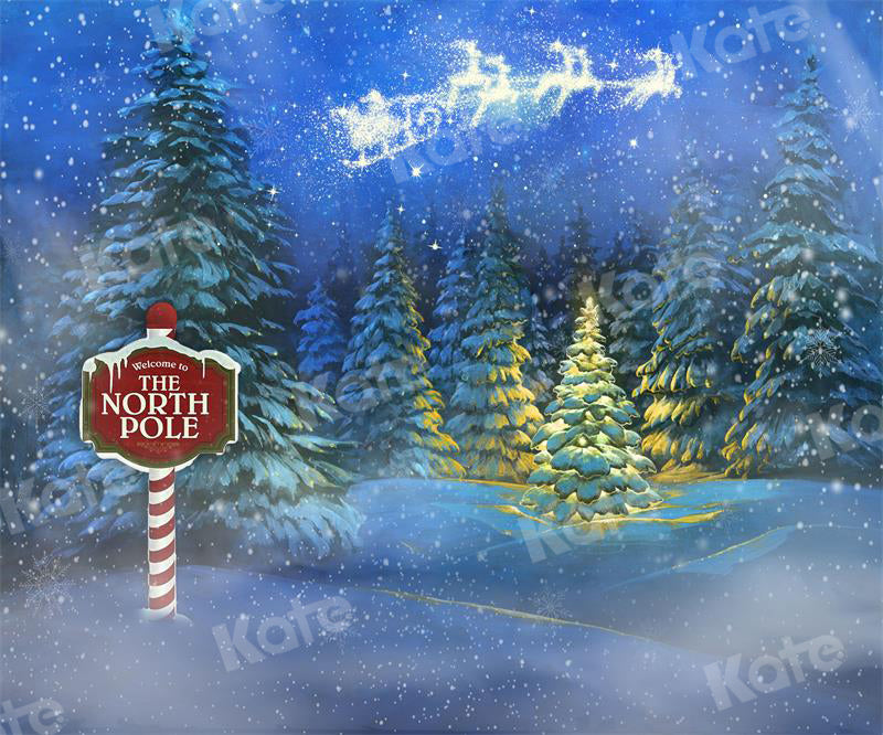 Kate Christmas Night Snow Scene Backdrop Forest for Photography - Kate Backdrop AU