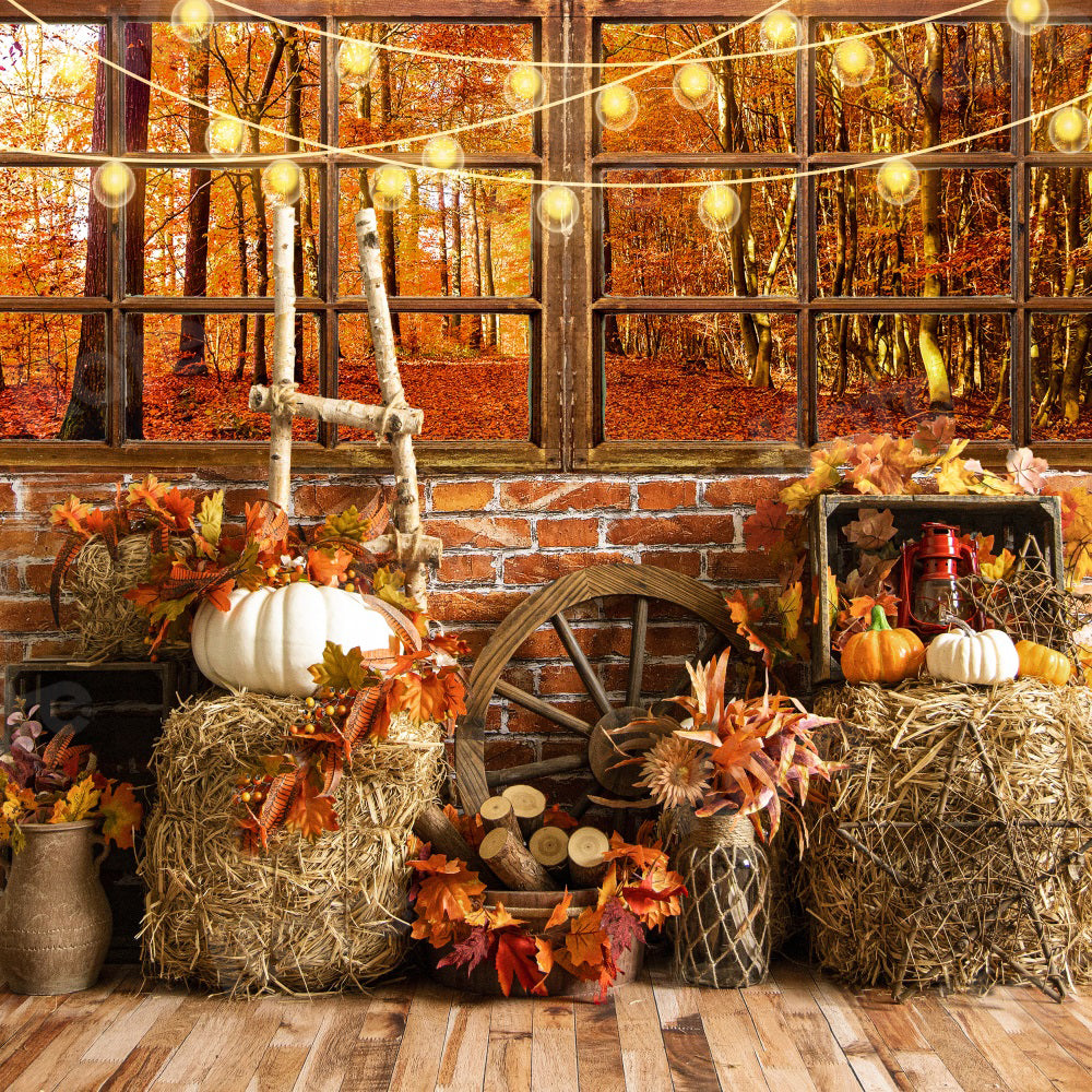 Kate Autumn Forest Backdrop Haystack Pumpkin for Photography - Kate Backdrop AU
