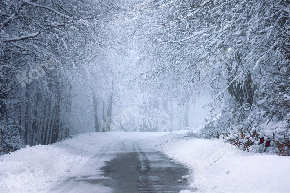 Kate Christmas Backdrop Snow Winter Outdoor Designed by Chain Photography - Kate Backdrop AU