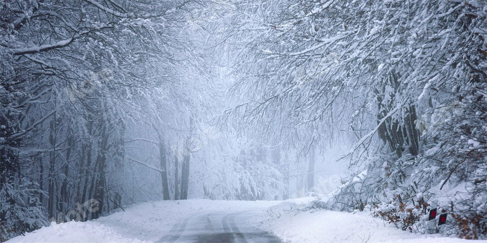 Kate Christmas Backdrop Snow Winter Outdoor Designed by Chain Photography - Kate Backdrop AU