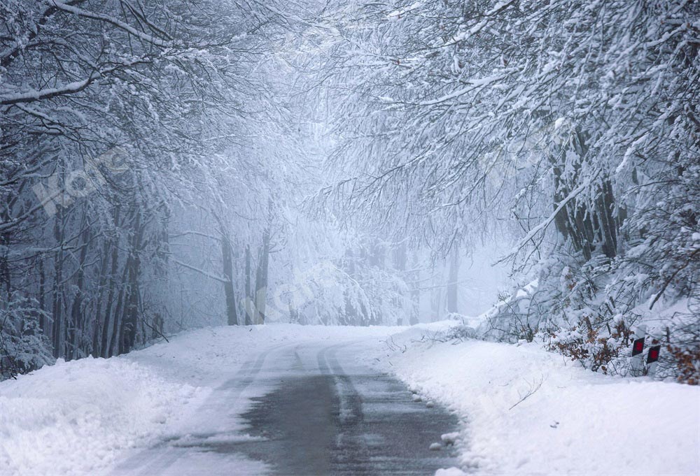 Kate Christmas Backdrop Snow Winter Outdoor Designed by Chain Photography - Kate Backdrop AU