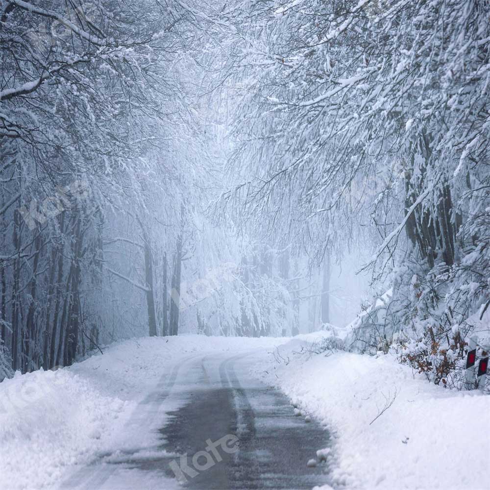 Kate Christmas Backdrop Snow Winter Outdoor Designed by Chain Photography - Kate Backdrop AU