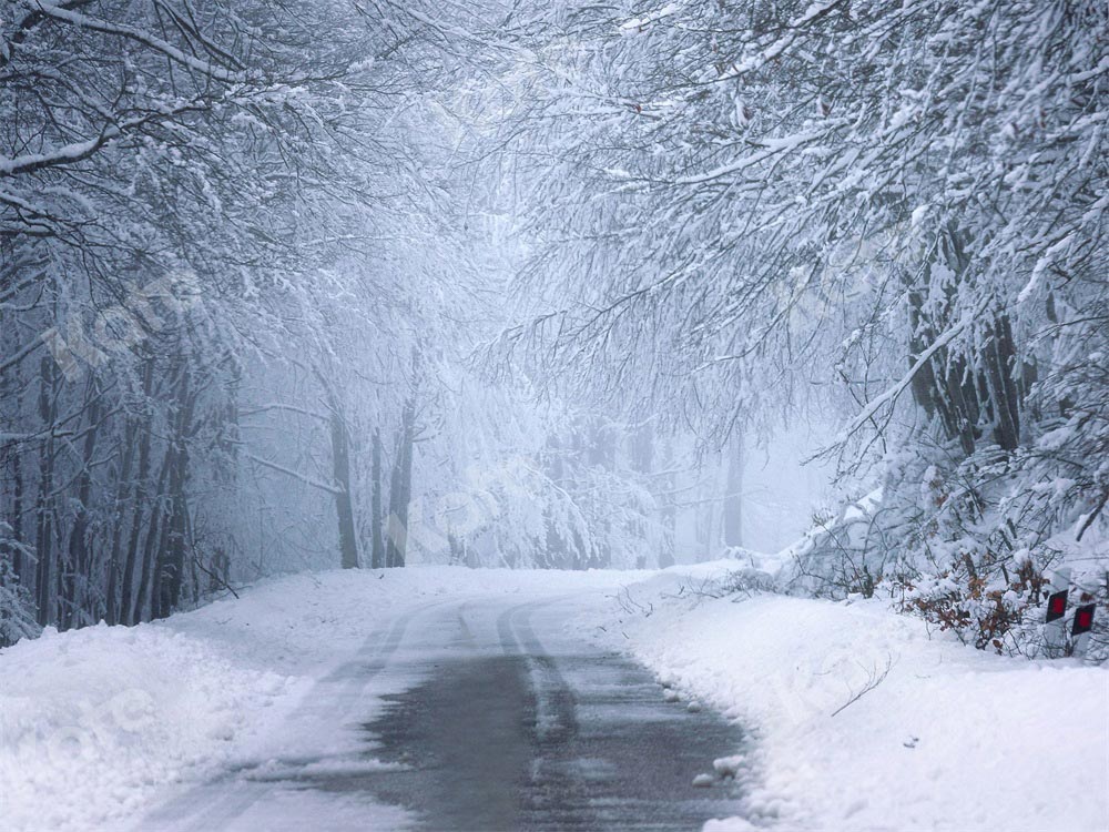 Kate Christmas Backdrop Snow Winter Outdoor Designed by Chain Photography - Kate Backdrop AU