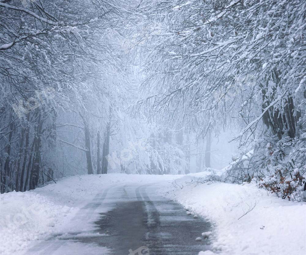 Kate Christmas Backdrop Snow Winter Outdoor Designed by Chain Photography - Kate Backdrop AU