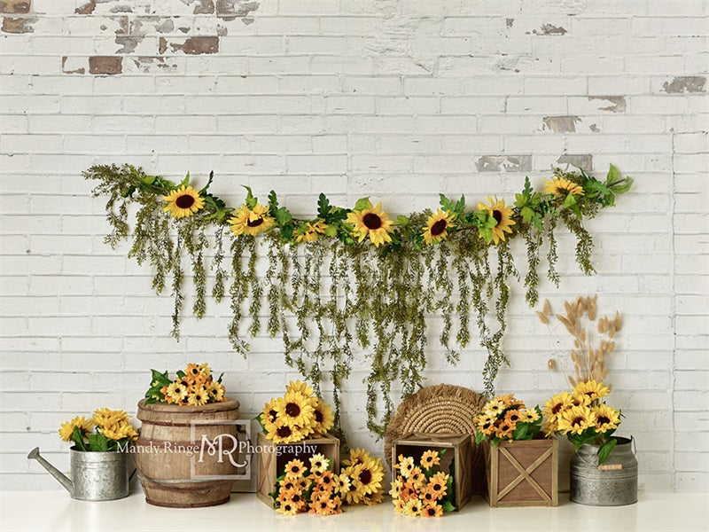 Kate Country Sunflowers Backdrop Designed by Mandy Ringe Photography - Kate Backdrop AU