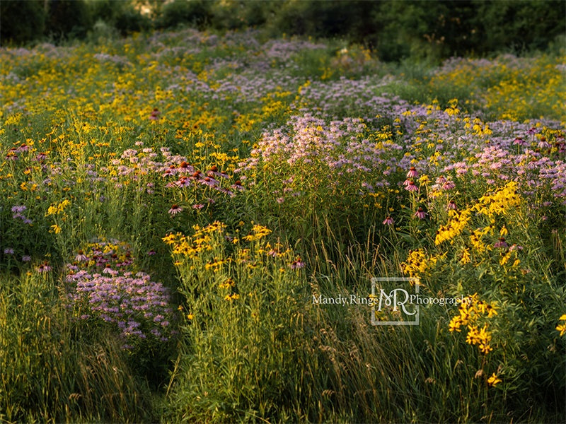 Kate Summer Wildflower Field Backdrop Designed by Mandy Ringe Photography - Kate Backdrop AU