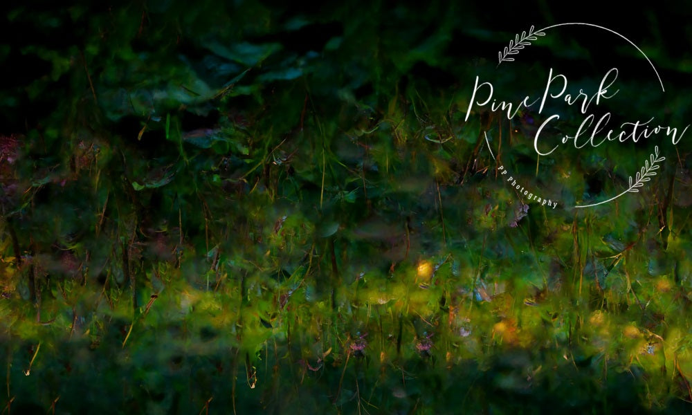 Kate Fairy Garden Whimsy Floor Backdrop Designed By Pine Park Collection - Kate Backdrop AU