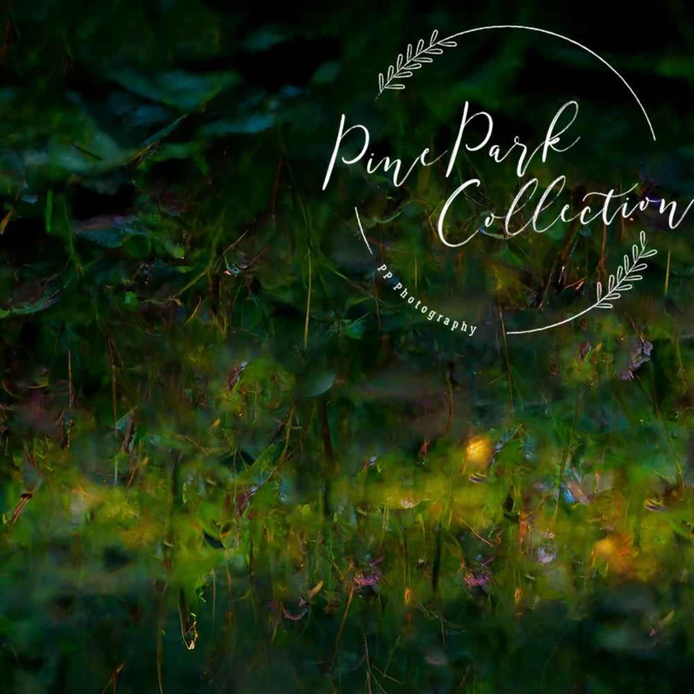 Kate Fairy Garden Whimsy Floor Backdrop Designed By Pine Park Collection - Kate Backdrop AU