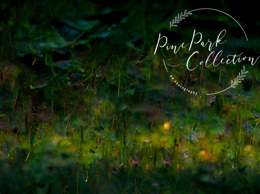 Kate Fairy Garden Whimsy Floor Backdrop Designed By Pine Park Collection - Kate Backdrop AU