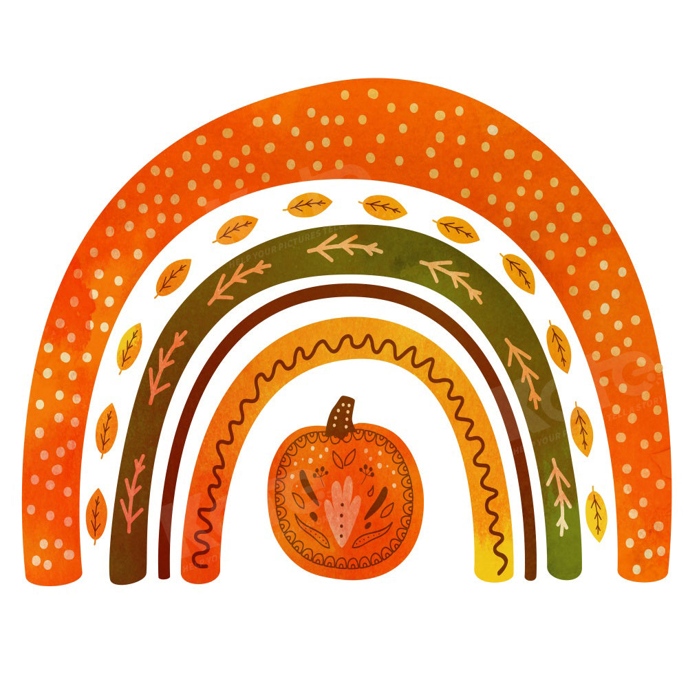 Kate Autumn Rainbow Backdrop Cake Smash for Photography - Kate Backdrop AU