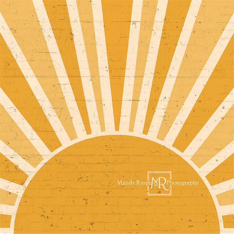 Kate Sunshine Brick Wall Backdrop Designed by Mandy Ringe Photography - Kate Backdrop AU