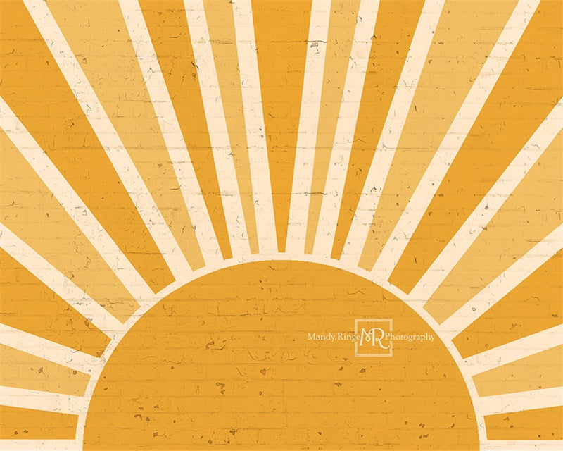 Kate Sunshine Brick Wall Backdrop Designed by Mandy Ringe Photography - Kate Backdrop AU