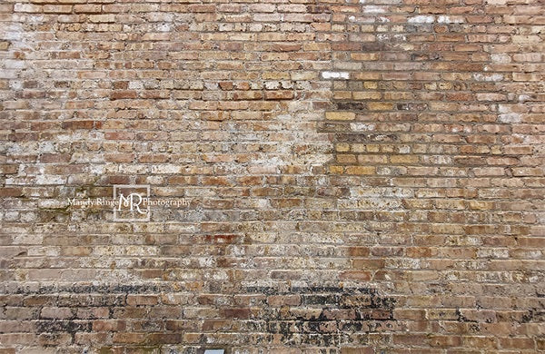 Kate Old Urban Brick Backdrop Designed by Mandy Ringe Photography - Kate Backdrop AU