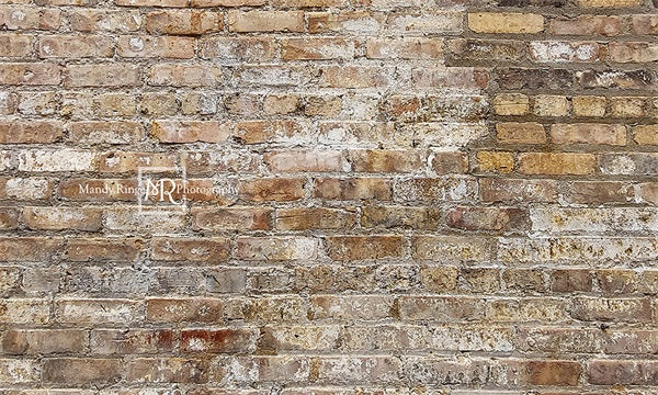 Kate Old Urban Brick Backdrop Designed by Mandy Ringe Photography - Kate Backdrop AU